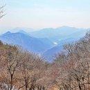 호명 이미지