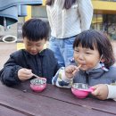 🌳국립칠곡숲체원) 숲 담아 가족 캠프 이미지