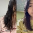 집에서 쉽게 찰랑거리는 머릿결 만드는 법 | 저만의 헤어케어 루틴을 소개합니다! | 더마힐 헤어케어...