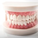 서울바로나치과병원 이미지