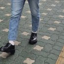 태리제화 이미지