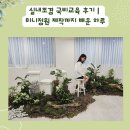 미니의정원 | 실내조경 국비교육 후기｜미니정원 제작까지 배운 하루