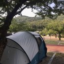 학동자동차야영장아영장 이미지