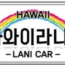 트립앤유 이미지