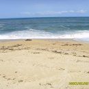 강문바다 이미지