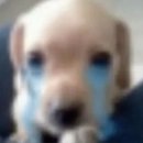 인스파월드 | いつかまた会えるかな