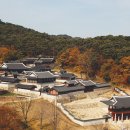 대신청과