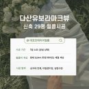다산유보라마크뷰 신축 인테리어필름 시공 후기(다산 신축 필름)
