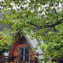 오대산 소금강산 야영장, 카라반 이용후기 특화하우스 E, F구역 소개