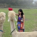 태광목장 이미지