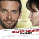 * 실버라이닝 플레이북 Silver Linings Playbook, 2012 * 이미지