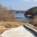 경북 안동 강을 접한 273평 자연인,힐링 토지 이미지