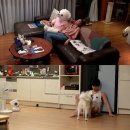 성훈컴퓨터 이미지