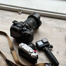 A-7 | 렉사 CFexpress Type A 실버 320GB 메모리카드 내돈내산 후기, A7M4 연사 테스트