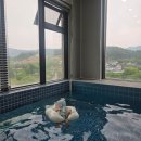 4개월 아기와 1박 2일로 다녀온 키즈 풀빌라 [비클래시] 내돈내산 후기 + 다미 숯불닭갈비(대 추천)