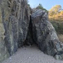 관성솔밭해변 이미지