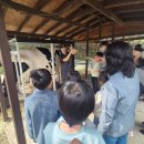 성동목장 이미지