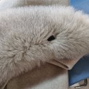 목동세탁소 이미지