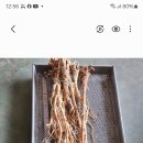 대황기 농원 Daum카페
