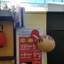 청년꼬마김밥