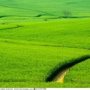 인화농장 이미지