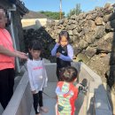 가라월라 이미지