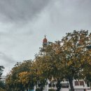 페이스웨어 이미지