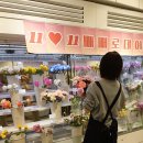 스노우폭스플라워강남 이미지