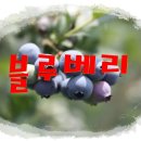 한철농장 이미지
