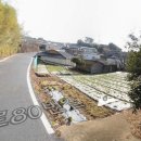 설천면109 Daum카페