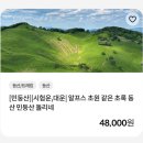 정선빌딩 | 정선군 민둥산 | [충격] 민둥산 정상석 진짜 민둥해 . . . - 5월 서울근교 강원도 등산 ,등산셔틀 후기
