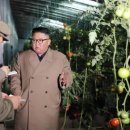 백마농장3 이미지