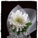울산전문장례식장근조화환꽃집 네이버블로그