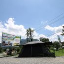 곰비님비 이미지