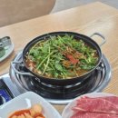 밀촌버섯샤브칼국수