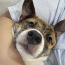 올리버 스테이 이미지