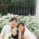 강화꽃직매장 | [웨딩일기장] 꿍끼리 버전 여운 웨딩 스냅 이야기📸