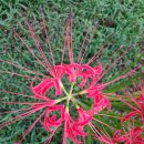 번개모임 이미지