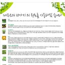 올가skin
