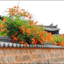 교촌마을 이미지