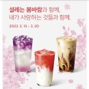 브라운블라썸 이미지