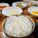 도리상 이미지