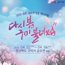 금오산게임 | 금오산 벚꽃 축제 2025 – 완벽 가이드!