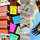 모양카클리닉 이미지