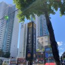 동묘약국 이미지