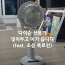 신일 - 동구 | 신일 무선 서큘레이터 실사용후기(feat. 다이슨 선풍기 비교)