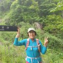 굴암매운탕