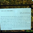 이규령 묘비문 이미지