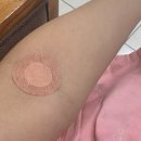 빨리팔아 | 청년보험 내돈내산 발품팔아 가입한 솔직 후기