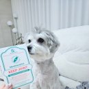 주식회사 칠명바이오 이미지